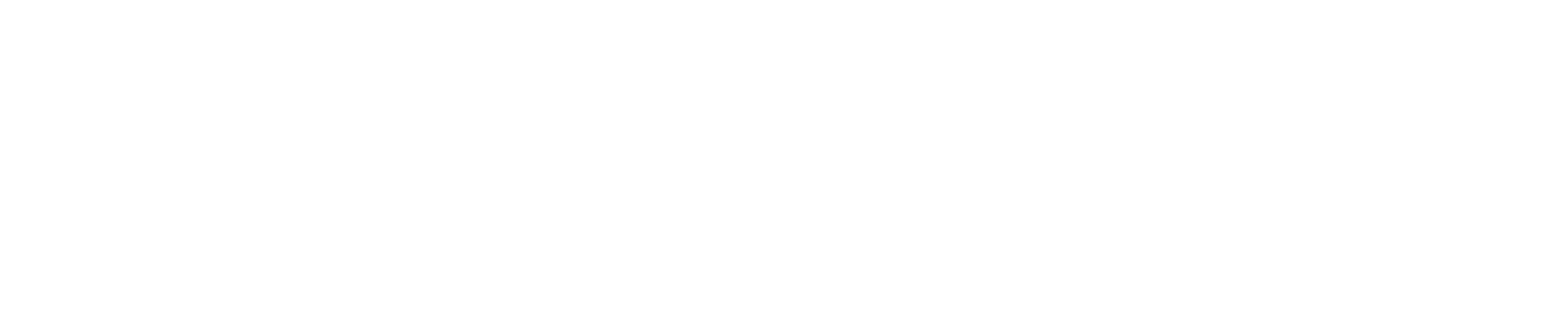 bridgenext